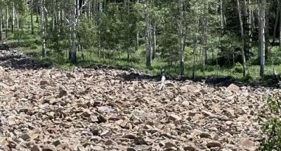 Загадка Загадка