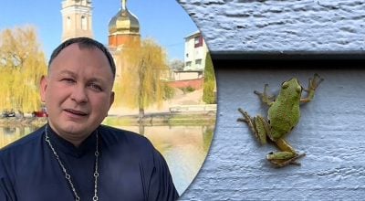 Филюк, жаба Филюк, жаба
