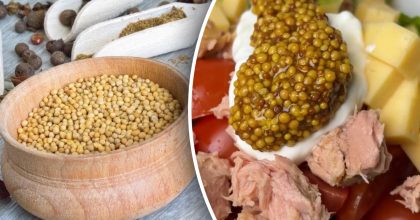 На магазинную больше не посмотрите: простой рецепт домашней французской горчицы