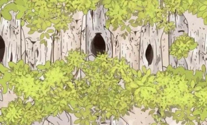 Оптическая иллюзия: найдите спрятавшуюся в лесу сову за 5 секунд