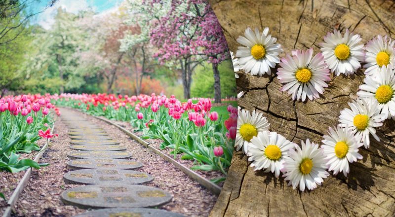 Любовный гороскоп на неделю с 7 по 13 апреля