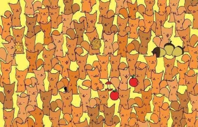 Складна загадка для найрозумніших: треба знайти мишу за 5 секунд