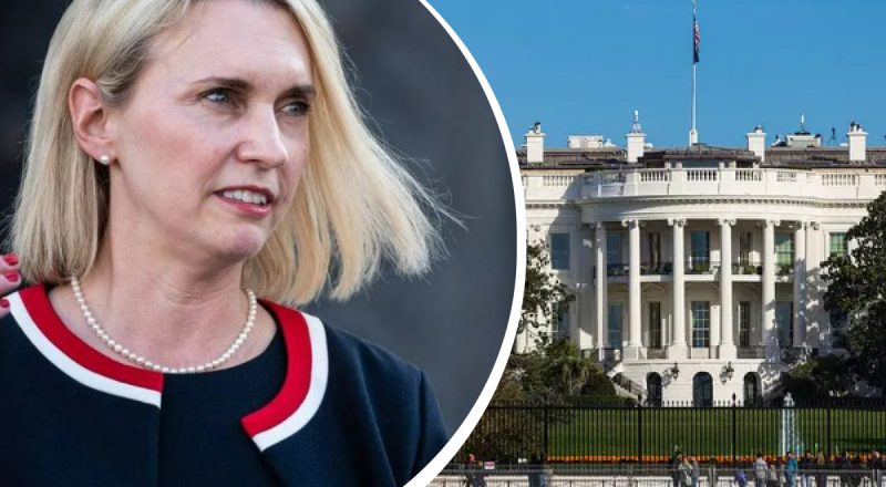 После скандальных заявлений: посол США в Украине Бринк покидает свою должность