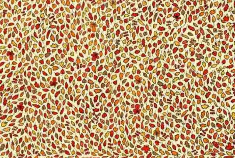 Супертест на IQ: найдите четыре яблока в листве за 5 секунд