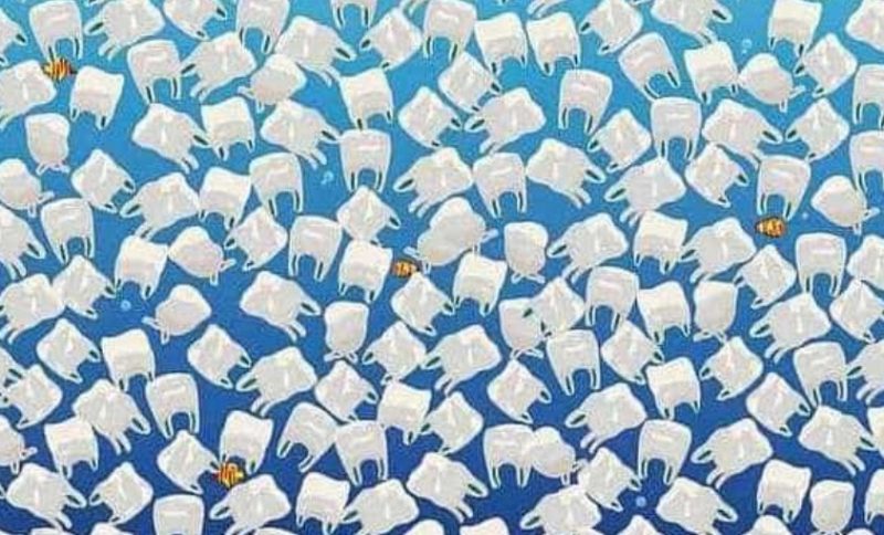 Тест на внимательность: найдите медузу среди пластиковых пакетов за 9 секунд