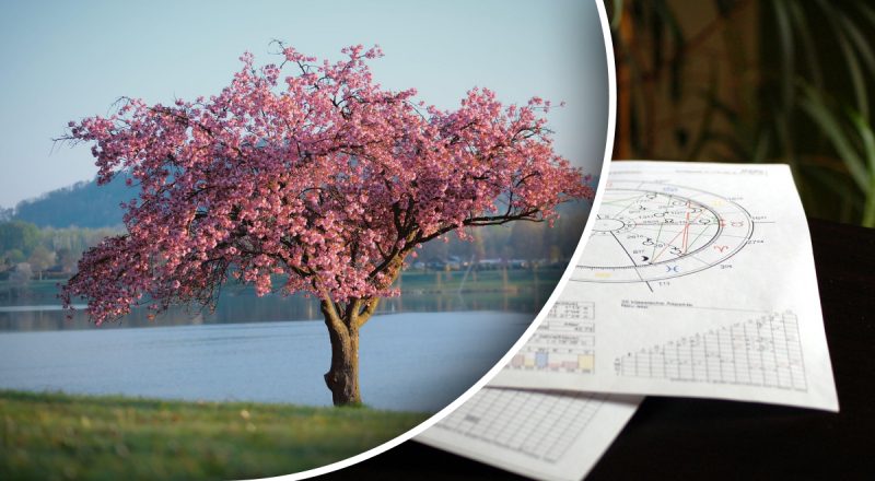 Гороскоп на неделю с 14 по 20 апреля: Тельцам - перемены, Ракам - экономить