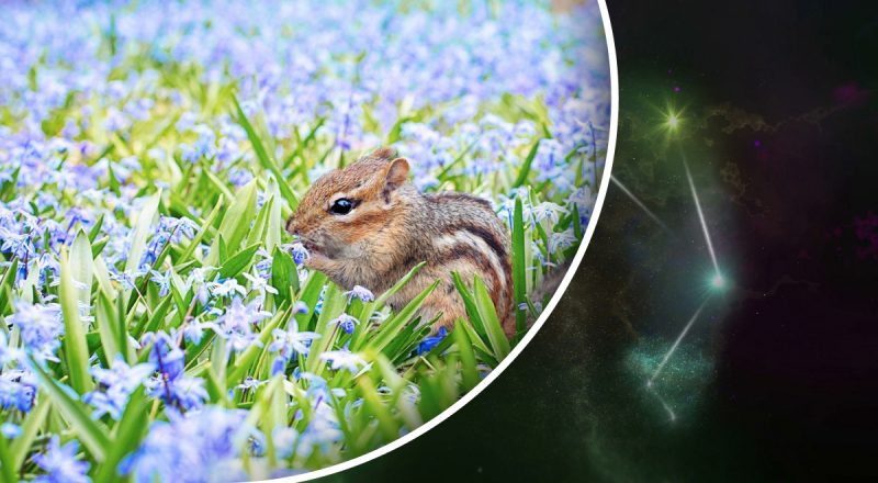 Финансовый гороскоп на неделю с 23 по 29 июня