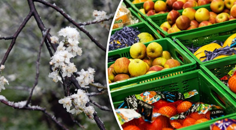 Україна може частково залишитися без популярних фруктів: у чому причина