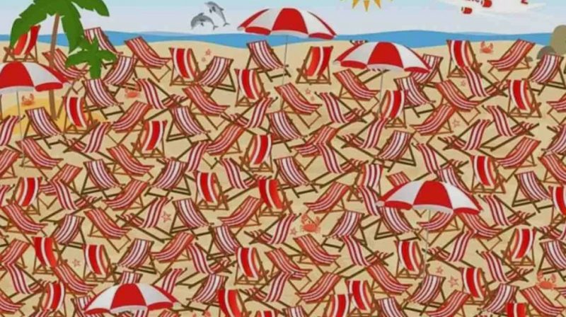 Оптическая иллюзия: найдите зимние лыжи на летнем пляже за 5 секунд