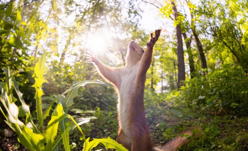 Ударит +26 градусов: в каких областях на Пасху будет погода, как летом