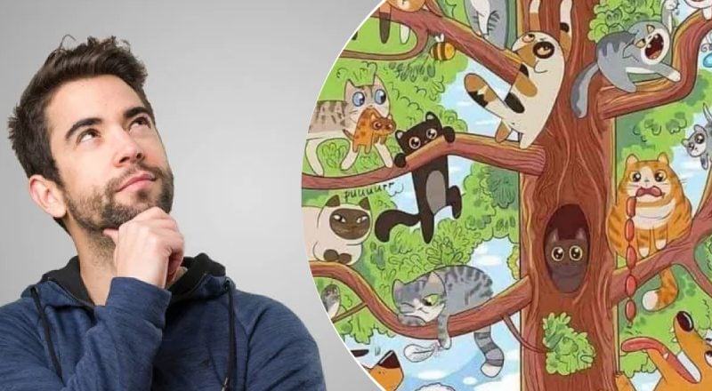 Только 'мегамозг' найдет рыбку за 5 секунд: головоломка, что заставит попотеть