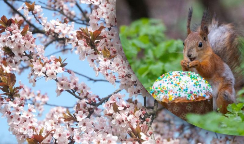 Воскресіння Христове: що можна і не можна робити на Великдень 20 квітня