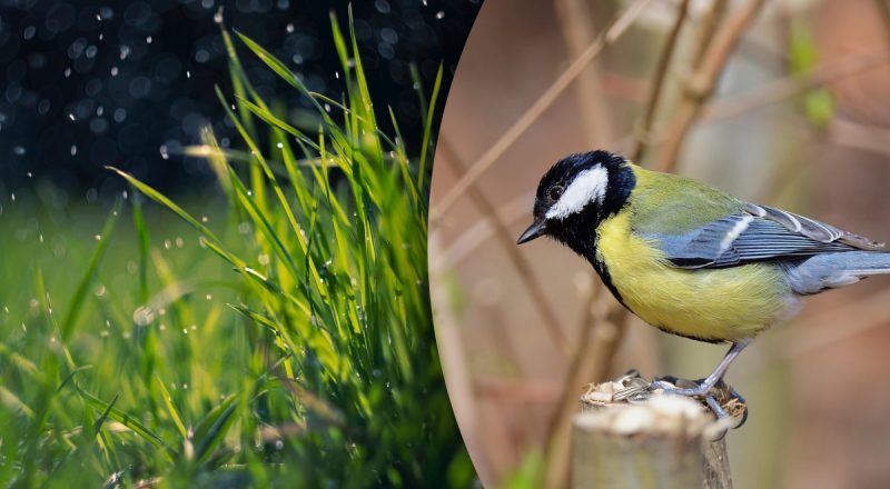 Фінансовий гороскоп на тиждень з 21 по 27 квітня