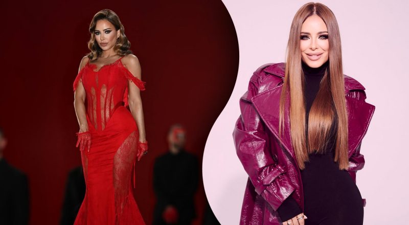 МИД Украины опроверг обновление украинского паспорта предательницы Лорак