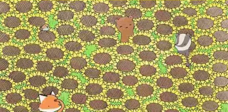 Ребус для тех, у кого великолепное зрение: надо за 5 секунд найти бабочку