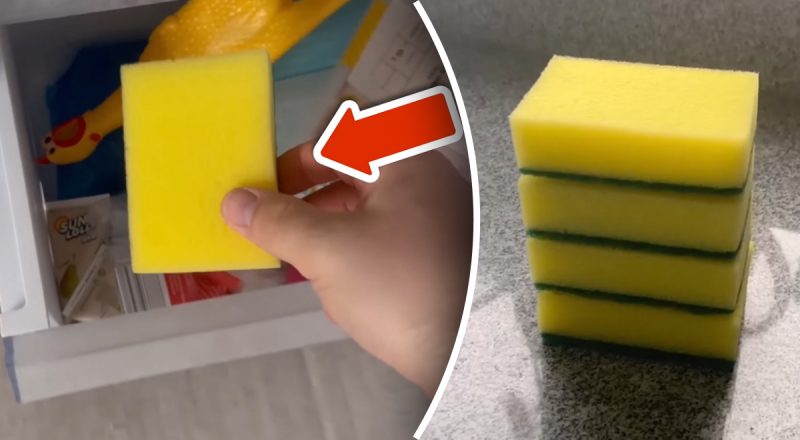 Зачем класть губку в морозилку: простой трюк устранит огромную проблему