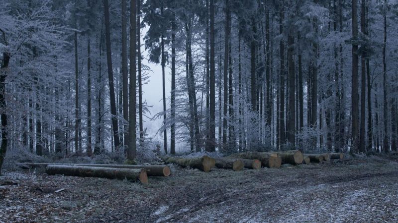 5-градусний мороз, дощі та грози: Україну атакує похолодання, коли прийде тепло