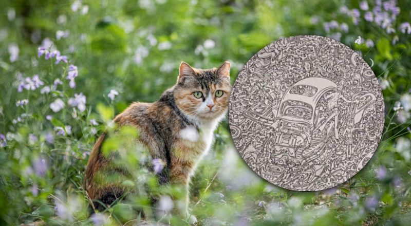 Підступний візуальний тест: потрібно знайти кішку за 5 секунд в автомайстерні