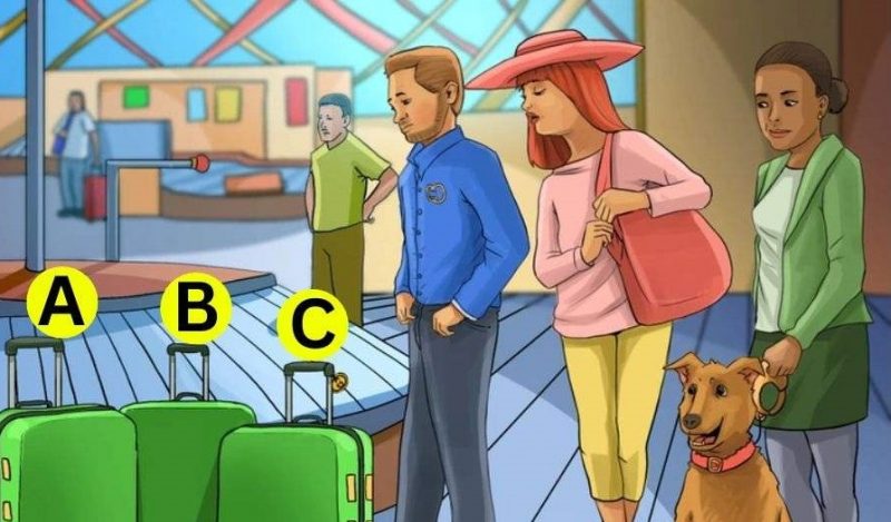 Какой чемодан кому принадлежит: нужно разгадать загадку за 5 секунд