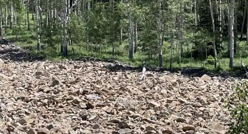 Де захована жінка: лише одиниці її помітять за 7 секунд