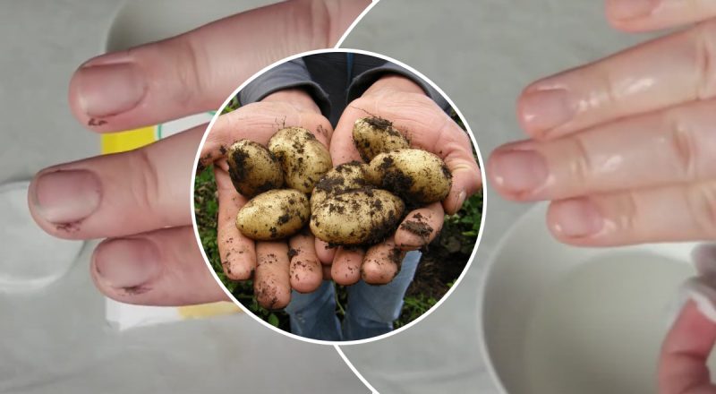 Грязь сама слетает за секунды: чем отмыть пальцы после молодой картошки