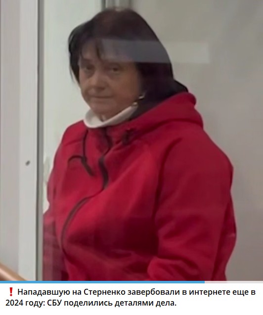Покушение на Стерненко: стали известны детали о нападавшей