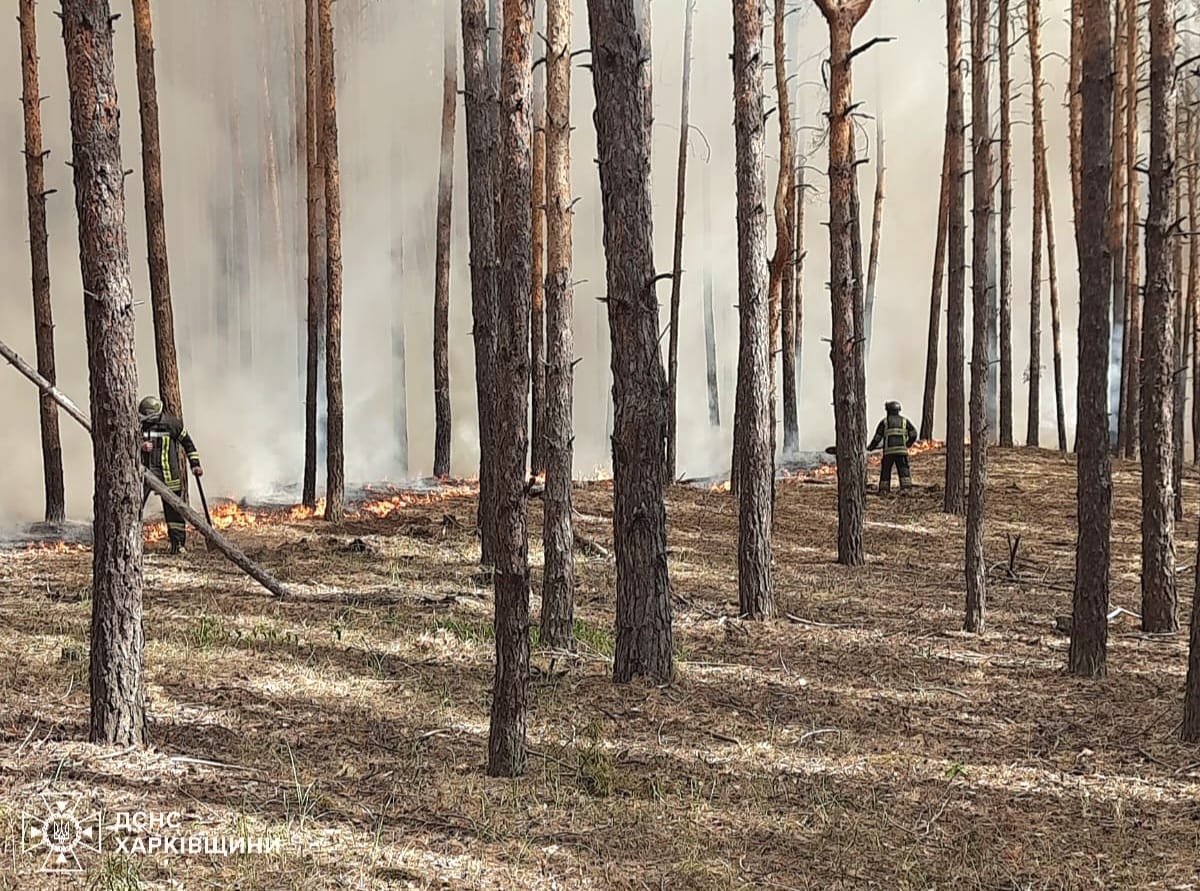 У Харківській області горить ліс У Харківській області горить ліс