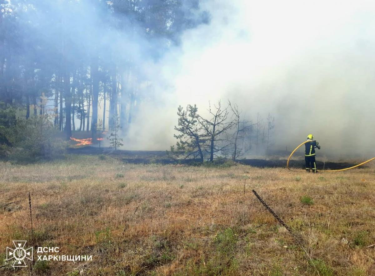 У Харківській області горить ліс У Харківській області горить ліс