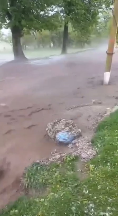 Наслідки негоди в Україні Наслідки негоди в Україні