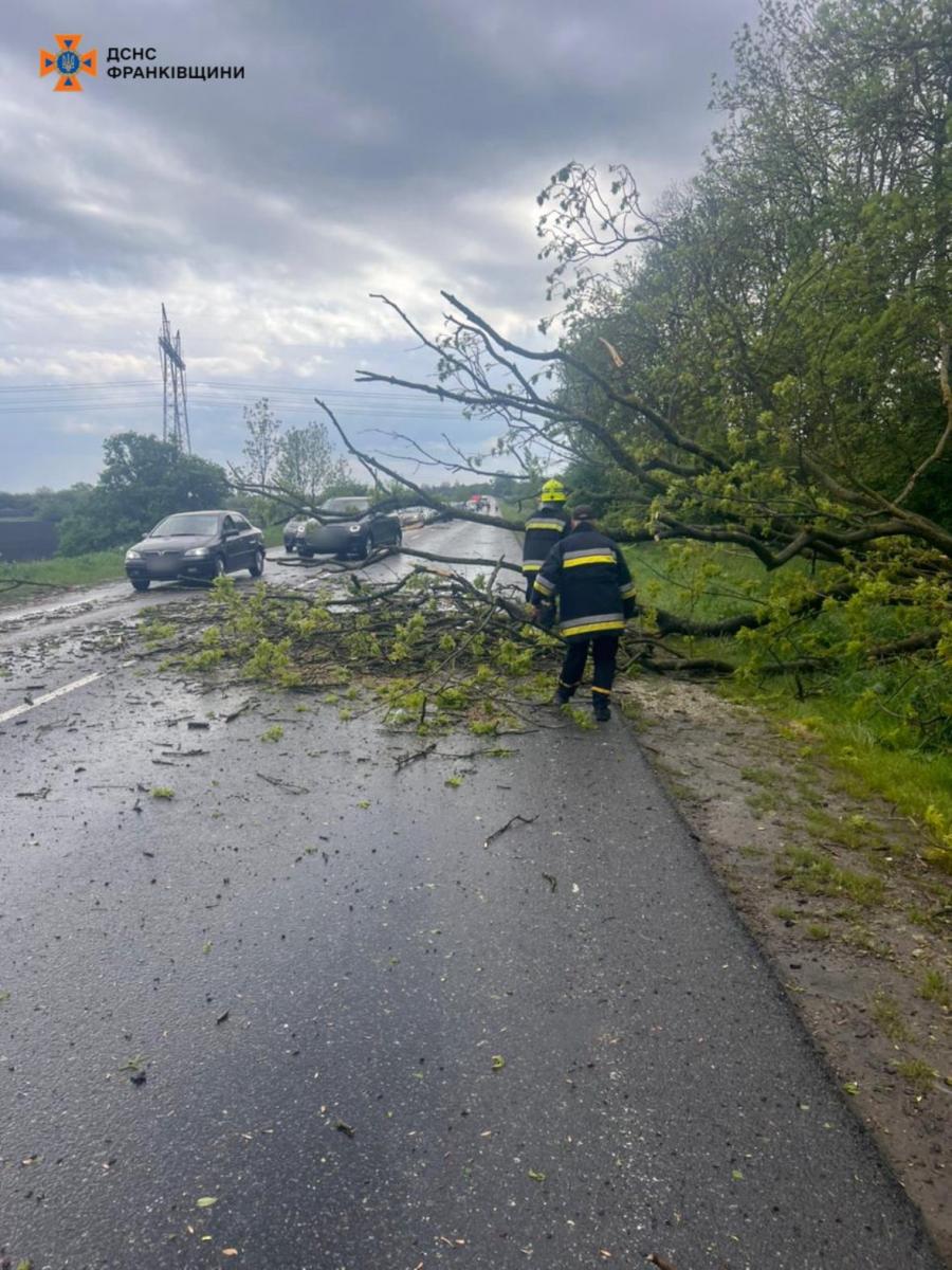 Наслідки негоди в Україні Наслідки негоди в Україні