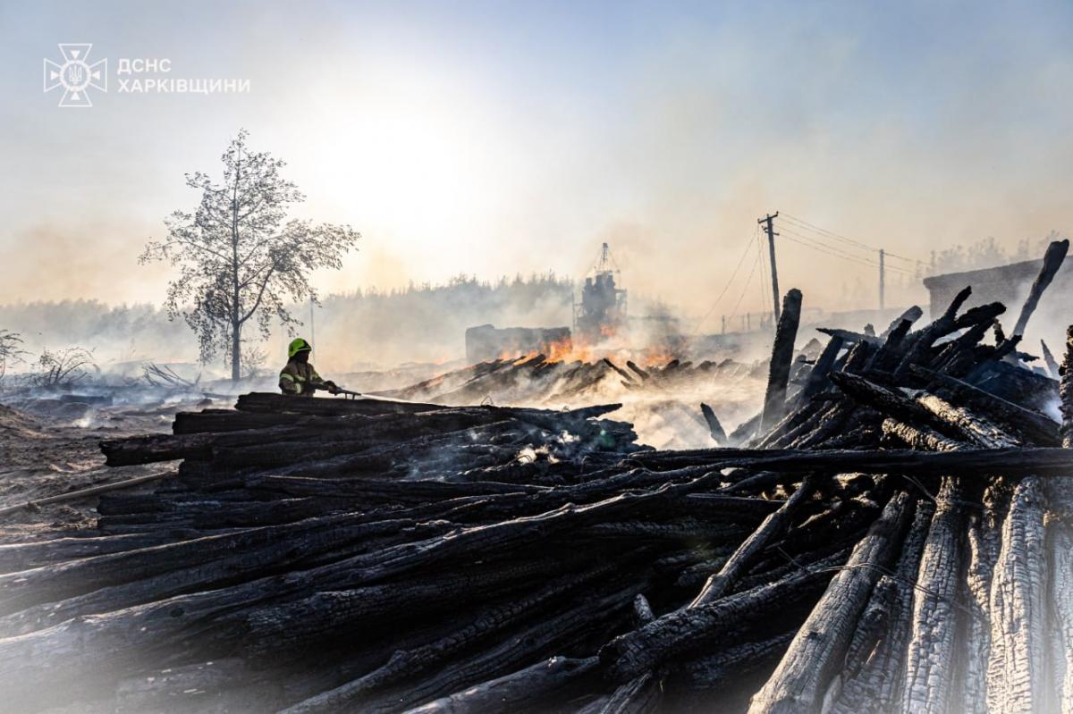 У Харківській області горить ліс У Харківській області горить ліс
