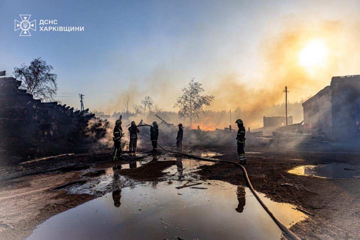 У Харківській області горить ліс У Харківській області горить ліс