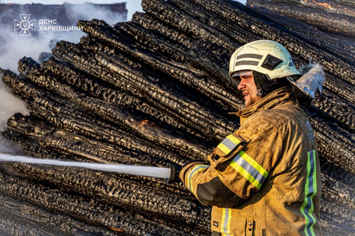 У Харківській області горить ліс У Харківській області горить ліс
