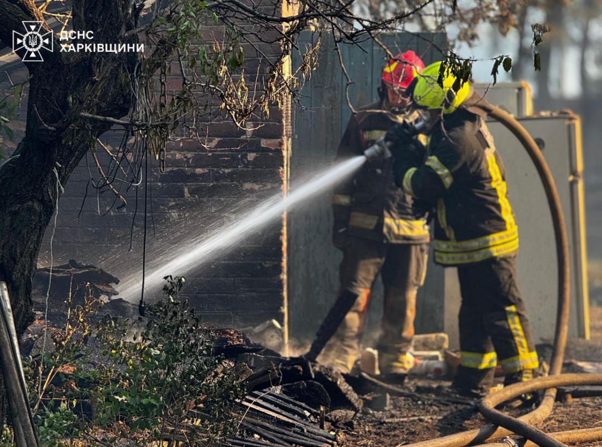 У Харківській області горить ліс У Харківській області горить ліс