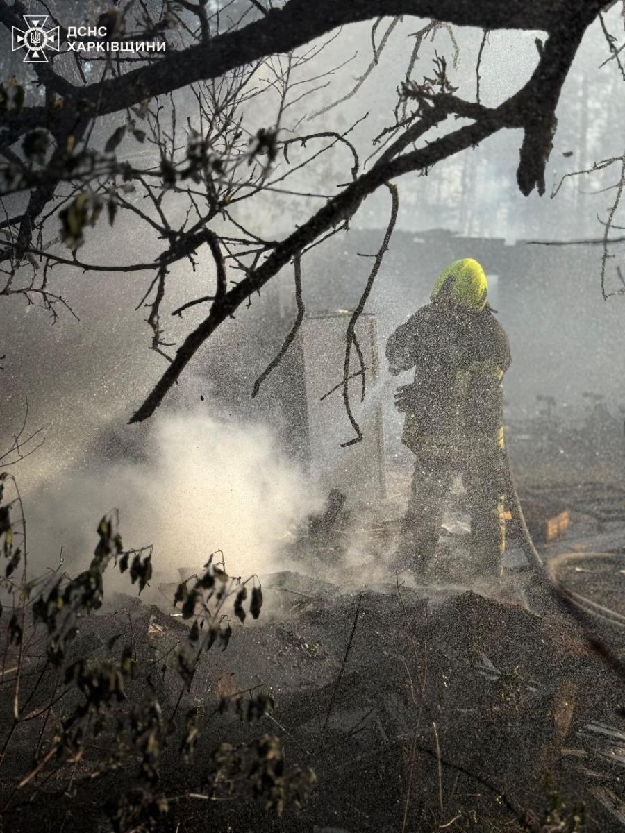 У Харківській області горить ліс У Харківській області горить ліс
