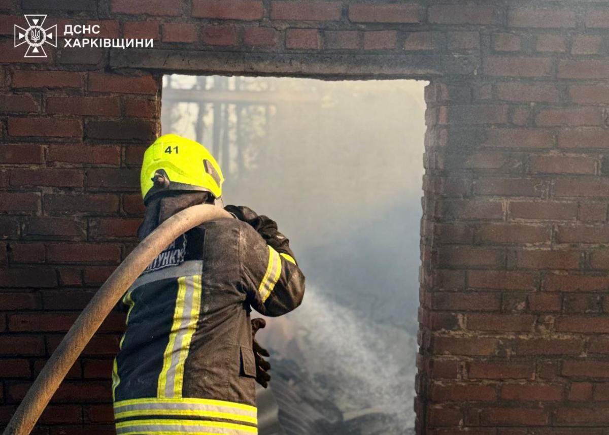 У Харківській області горить ліс У Харківській області горить ліс