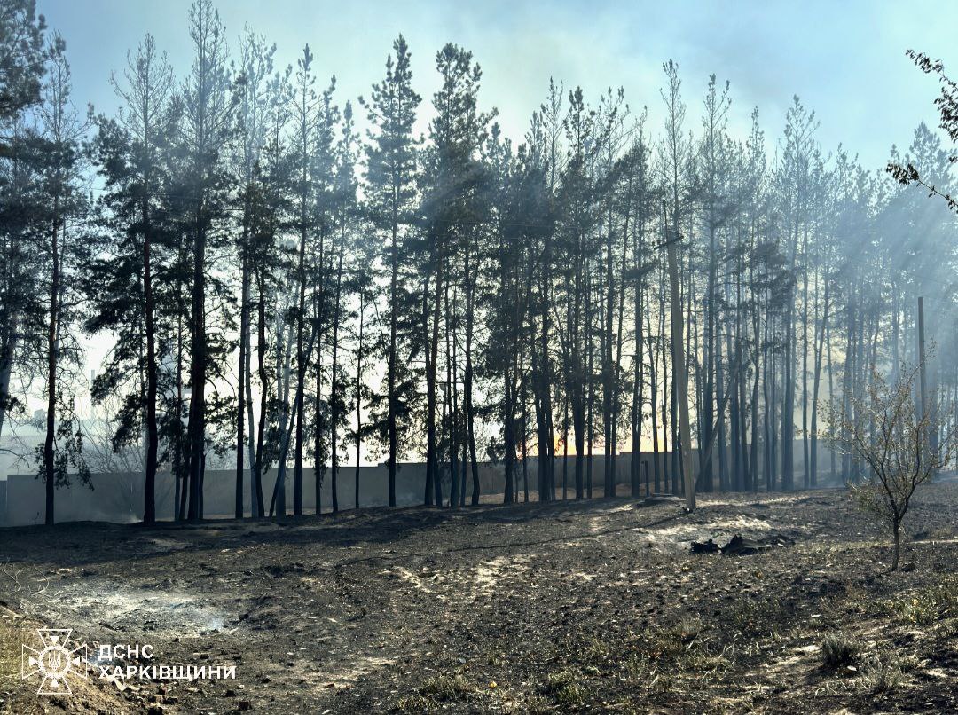У Харківській області горить ліс У Харківській області горить ліс