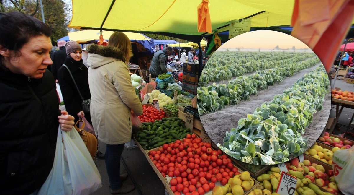 Ціни на продукти, овочі, фрукти Ціни на продукти, овочі, фрукти