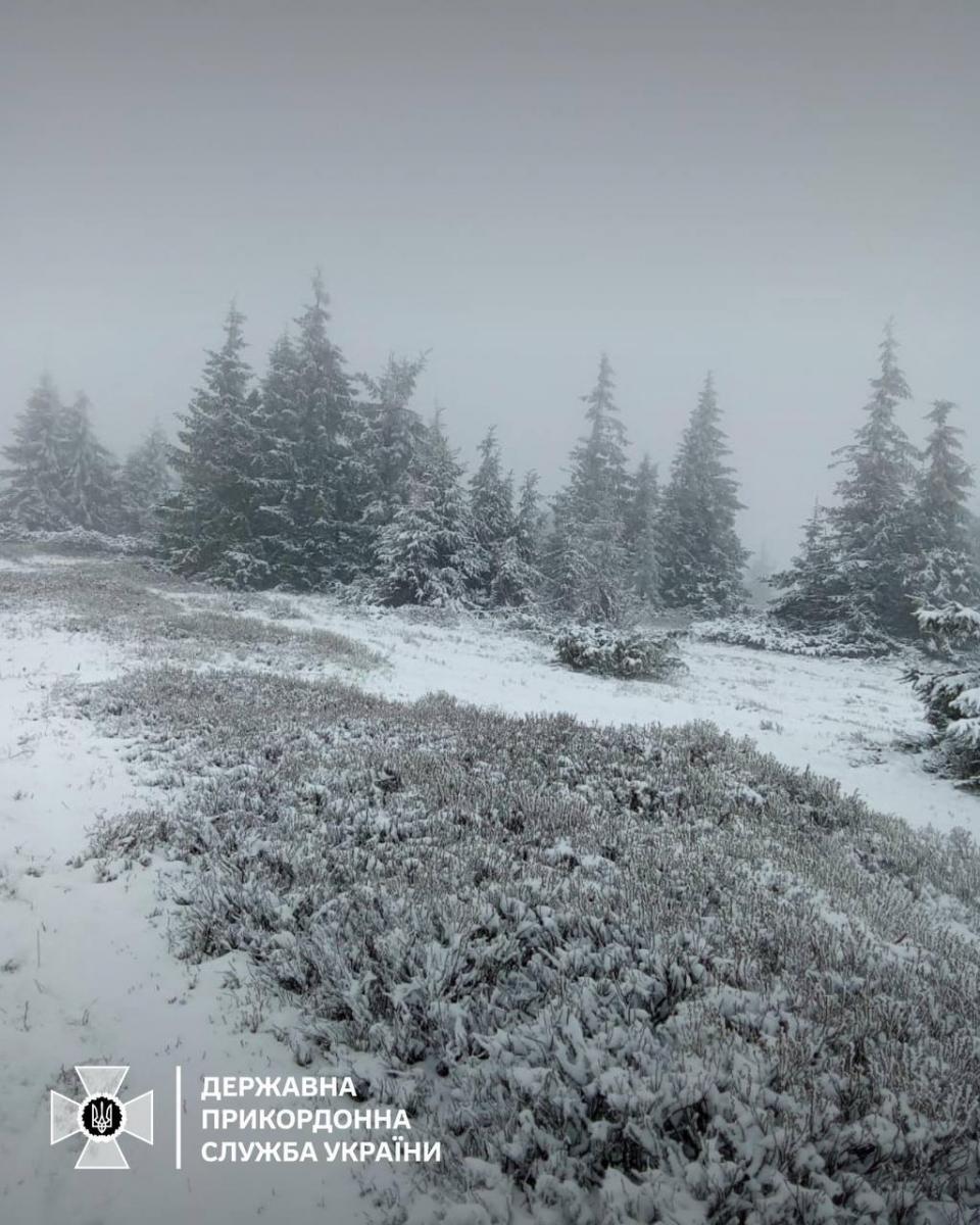 Снег в Карпатах 9 мая  Снег в Карпатах 9 мая