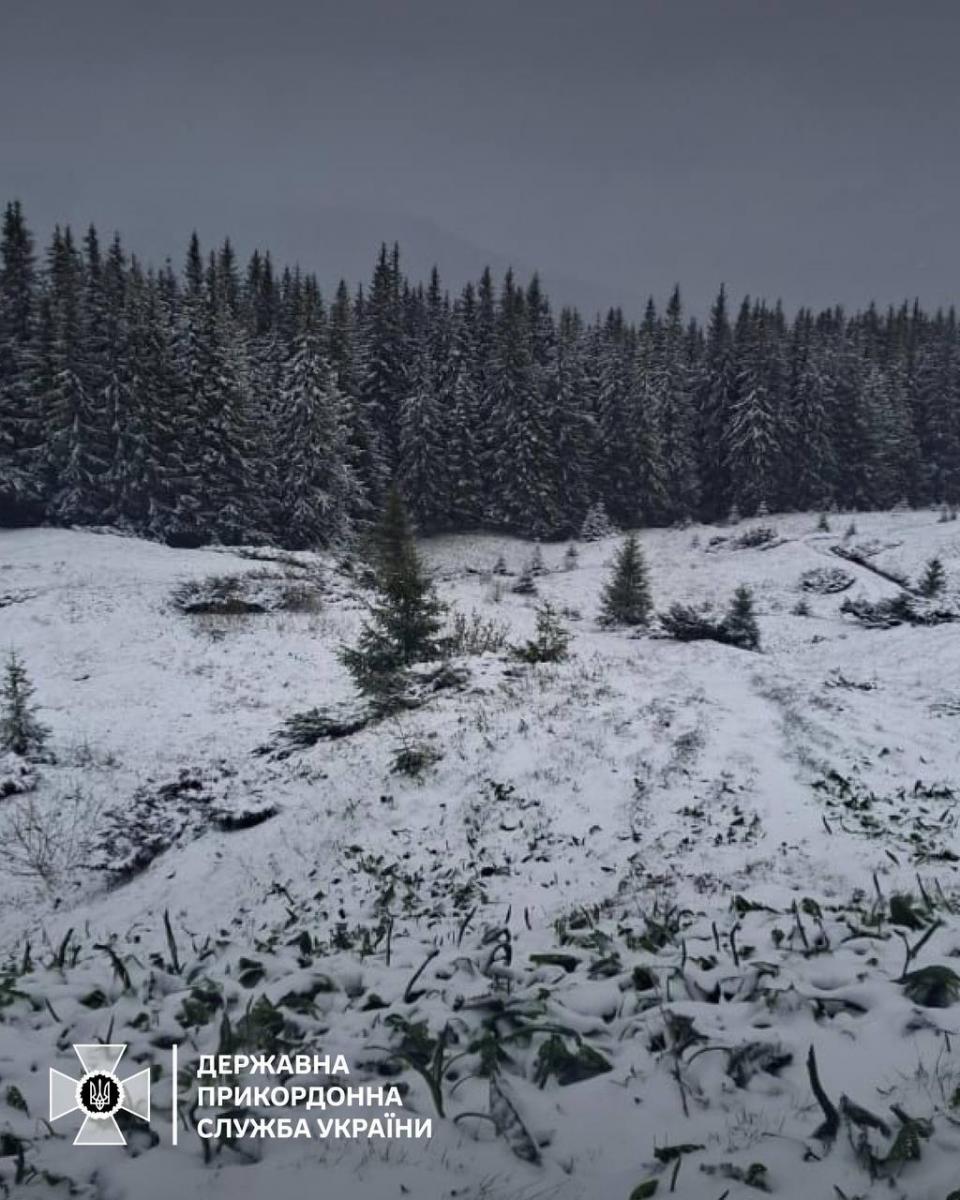 Снег в Карпатах 9 мая  Снег в Карпатах 9 мая