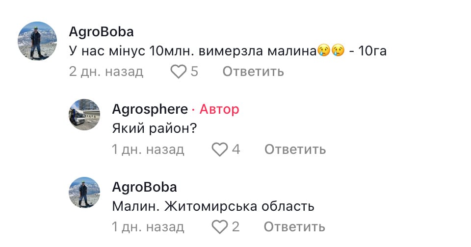 скриншот скриншот