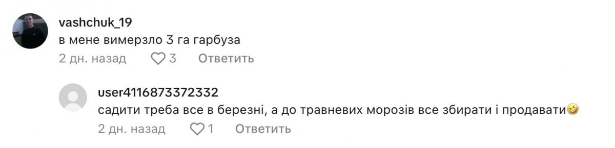 скриншот скриншот