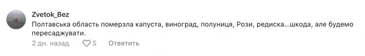 скриншот скриншот