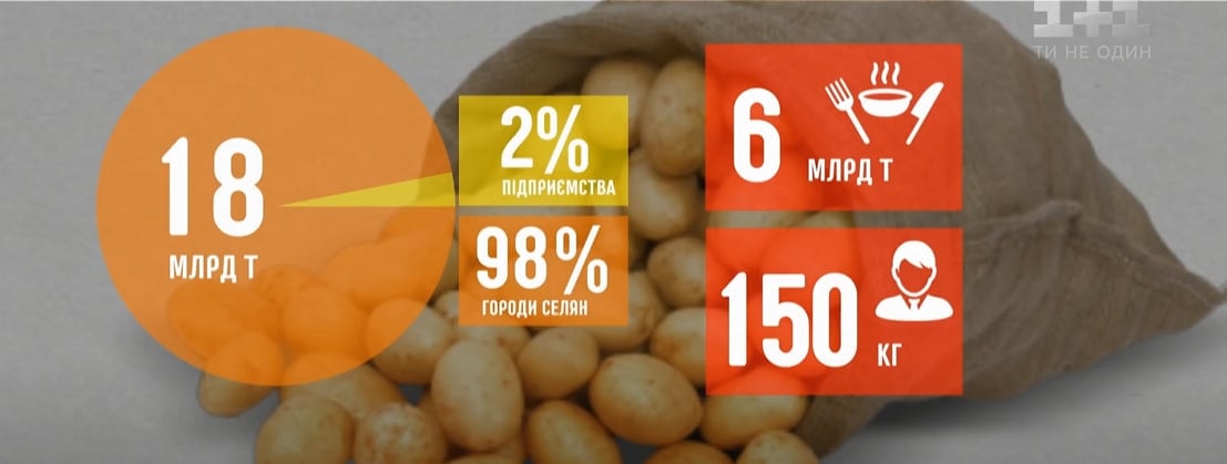 Популярний міф зруйновано: дешевше купити картоплю чи вирощувати, пояснення здивує Популярний міф зруйновано: дешевше купити картоплю чи вирощувати, пояснення здивує