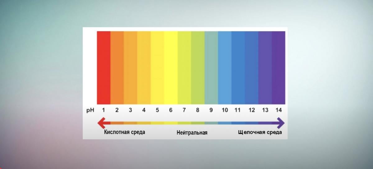 Скриншот Скриншот
