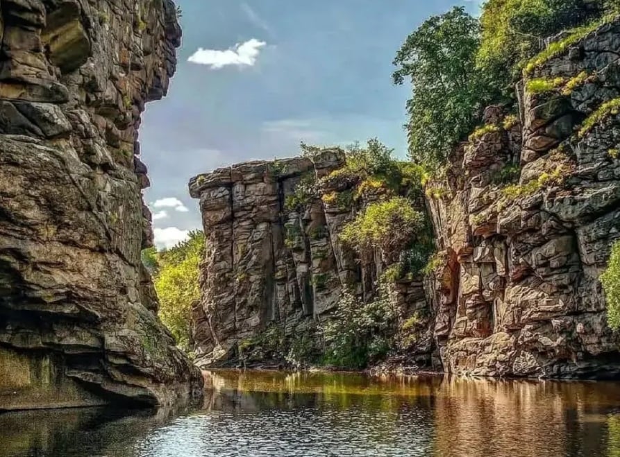 Скріншот Скріншот