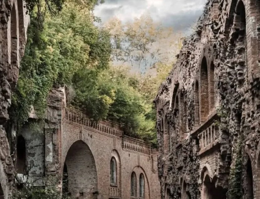 Скріншот Скріншот