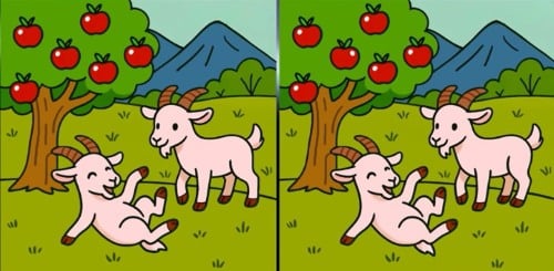 Загадка Загадка