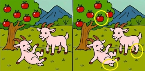Загадка Загадка