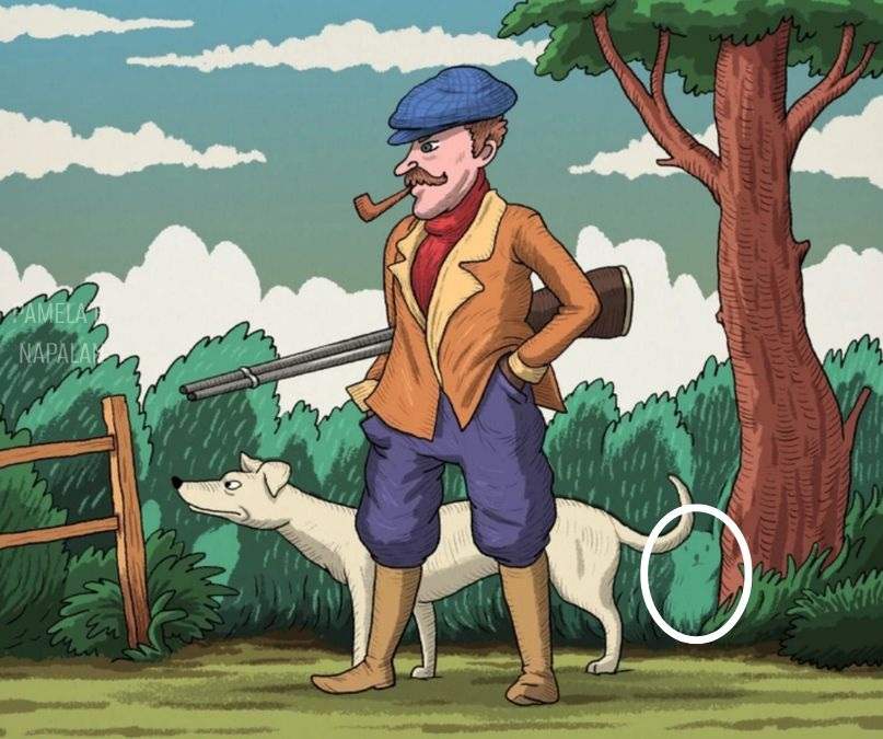 Загадка Загадка